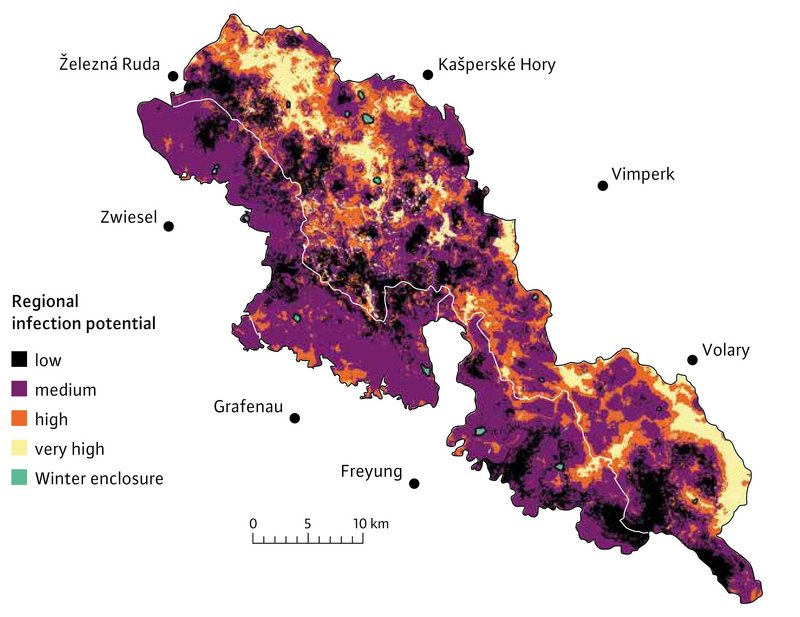 Areas where the risk of infection