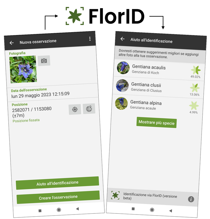 identificare le piante con FlorApp