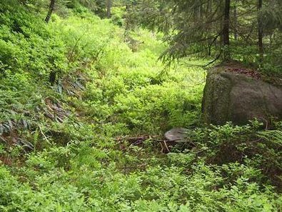 Stein am Rande des alten Trassees