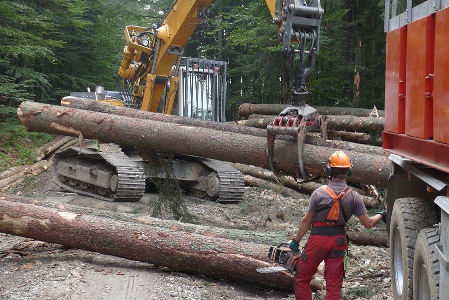 Holznutzungspotenziale im Schweizer Wald Holznutzungspotenziale im Schweizer Wald