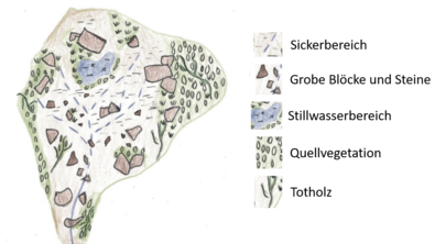 Schematische Darstellung einer exemplarischen von Grobmaterial geprägten Sickerquellesgemeinschaften im Quellbereich