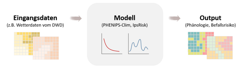 Schema des täglichen Workflows für die einzelnen Rasterzellen.