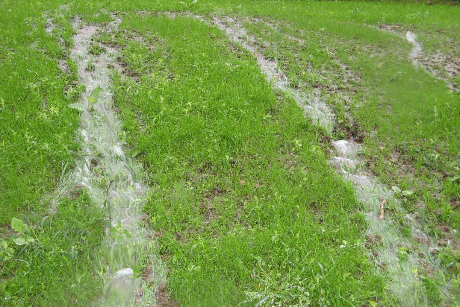 Wiese mit gestautem Wasser