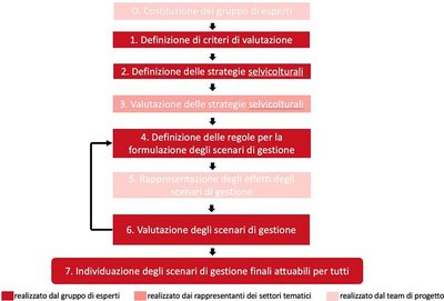 Rappresentazione schematica del processo decisionale