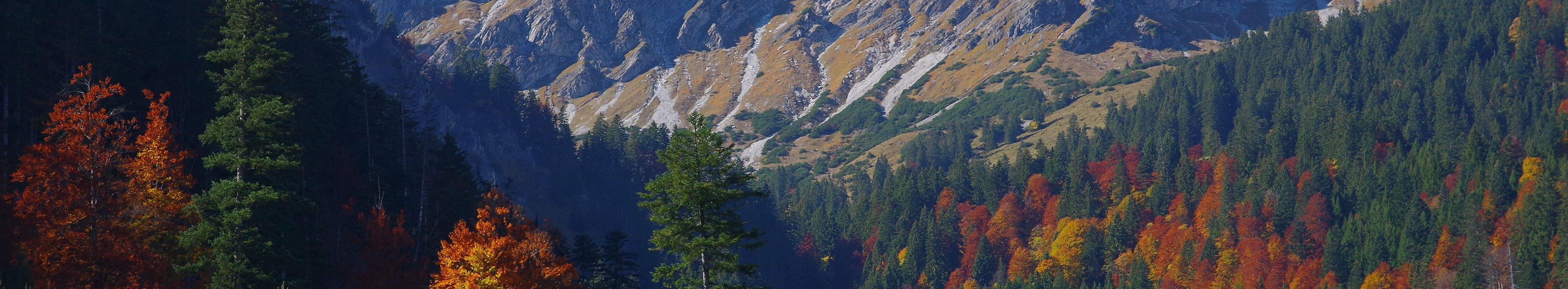 Blick in einen Berghang mit Wald in den unteren Regionen