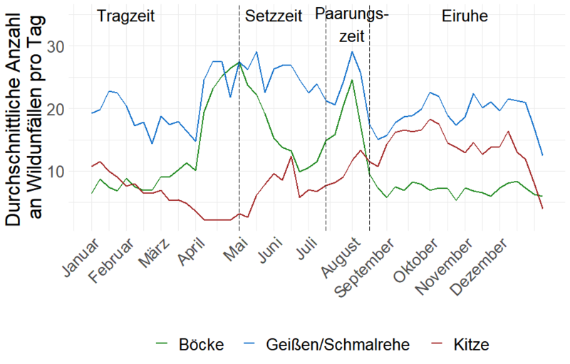 Abb. 5: Zeitlicher Verlauf der Wildunfallzahlen pro Tag beim Reh, aufgeteilt für Böcke, Geißen/Schmalrehe und Kitze im Jahresverlauf. Die Eintei-lung nach biologischer Jahreszeit erfolgt nach Krop-Benesch et al. (2013).