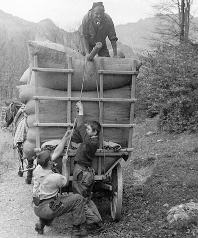 Bettlauben im Gonzenwald