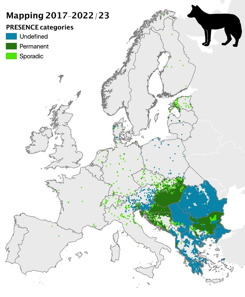 Die Grafik zeigt die Verbreitung des Goldschakals in Europa im Zeitraum zwischen 2017 und 2023