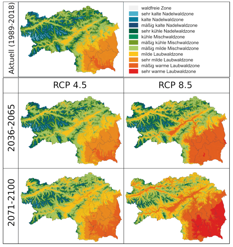 Grafik, die Waldvegetationszonen durch farbige Markierungen in verschiedenen Klimaszenarien zeigt