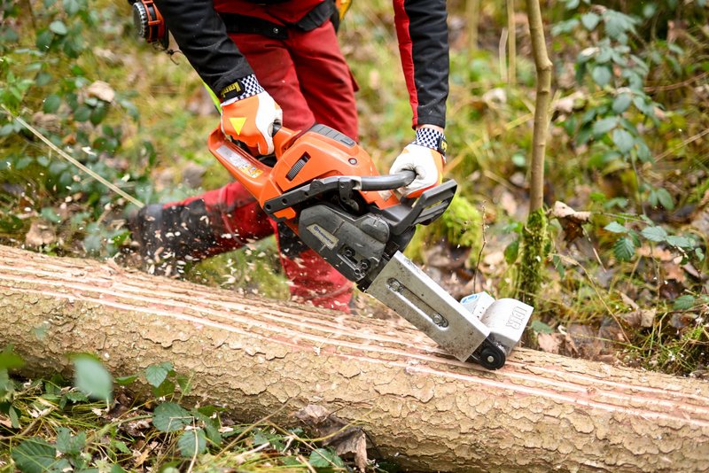 Forstwirt entrindet einen Fichtenstamm mit einem speziellen Anbaugerät für die Motorsäge. Dabei werden zahlreiche Längsfurchen stammumfassen durch die Rinde bis in das Holz gefräßt.