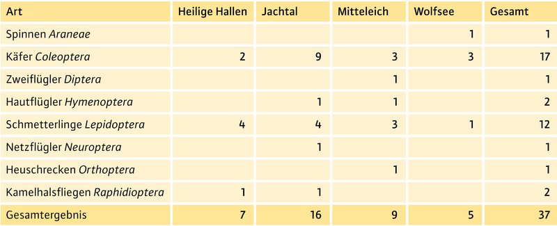 Tabelle