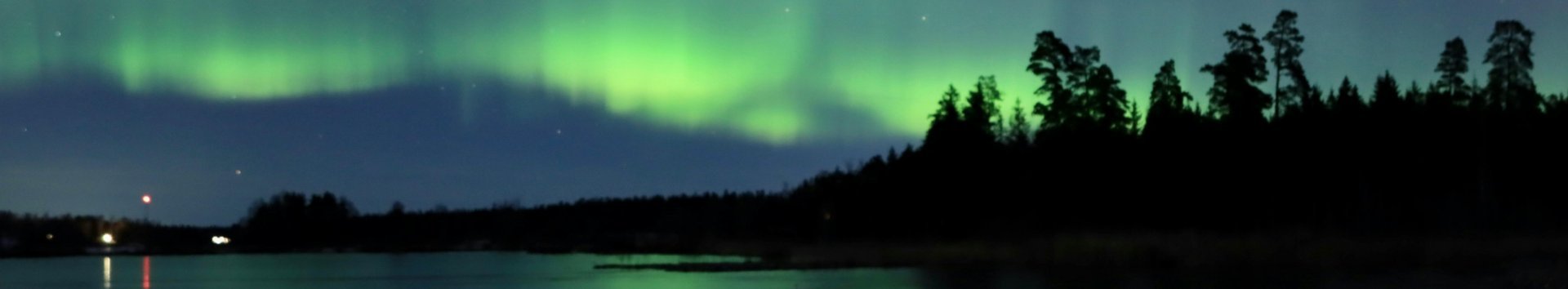 Waldsilhouette in der Nacht mit Polarlicht am Himmel