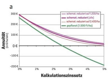 Absolute Annuitäten bei schematischen Reduktionen verglichen mit Modellbestand aus Pflanzung.