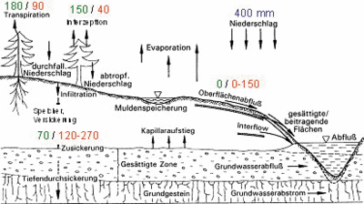 Niederschlagsumsatz als Diagramm