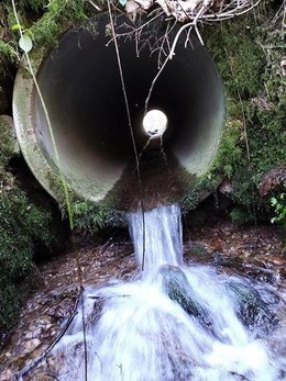Betonrohr mit Auslauf über Gewässersohle
