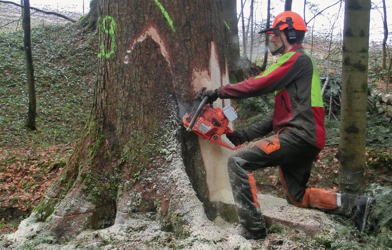 Praxistest mit einer Datenerfassungsbox auf der Motorsäge