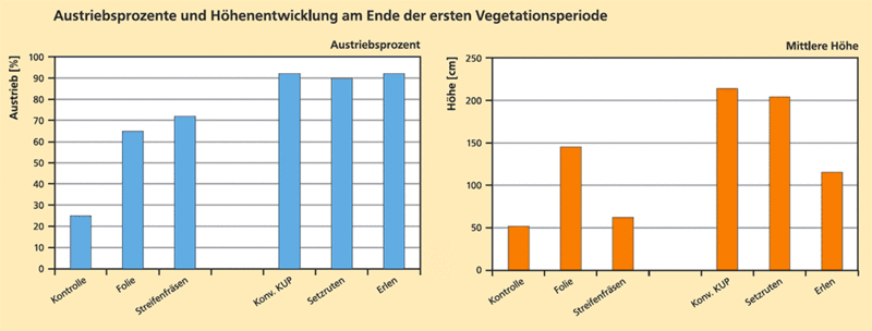 percentages of rods sprouting (left) and average heights (right)