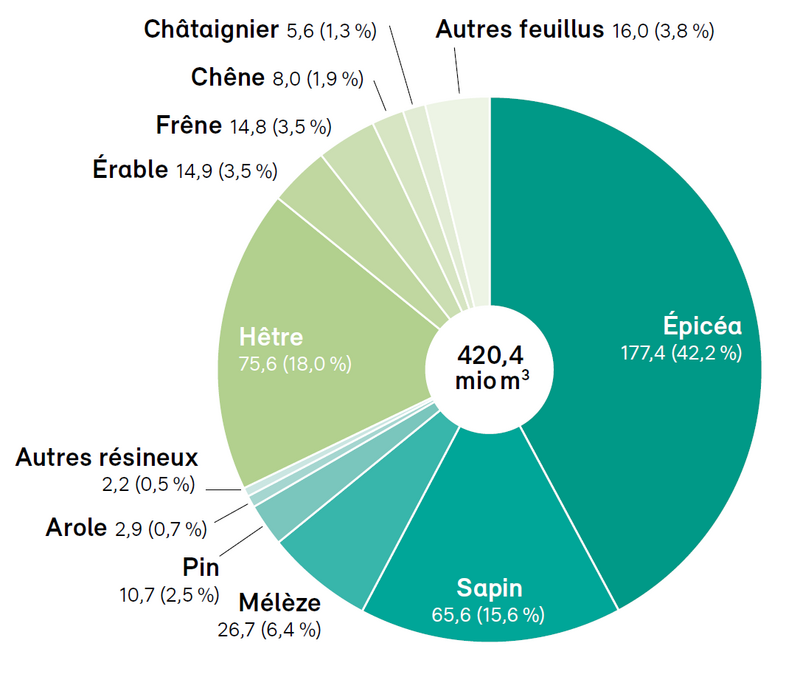 Volume de bois et parts du volume des essences les plus fréquentes Volume de bois et parts du volume des essences les plus fréquentes