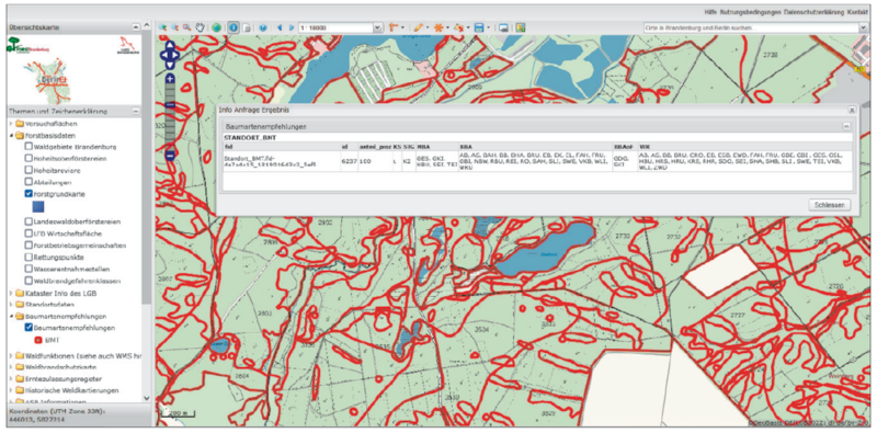 Baumartenempfehlungen im Geoportal
