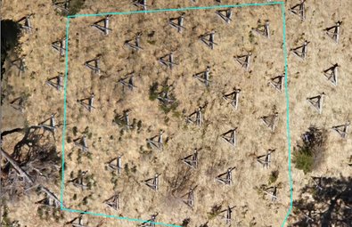 UAV-Luftbild eines stark vergrasten Sanierungsbereichs mit Dreibeinböcken