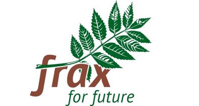 Logo Projekt Frax for Future