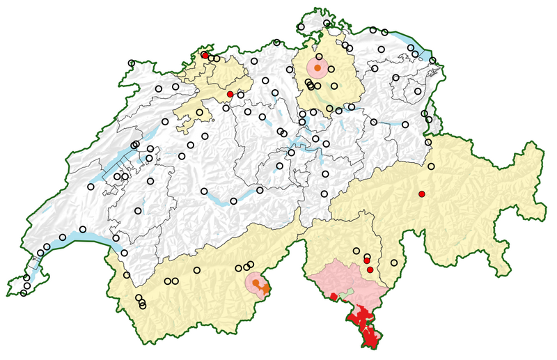 Japankäfer-Gebietsüberwachung 2023 (© Bundesamt für Landestopografie)