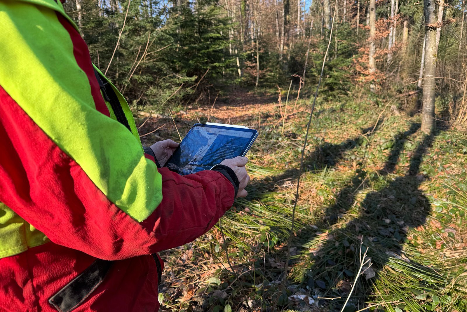 forestier dans la forêt utilise l'application TreeApp pour obtenir des recommandations sur les espèces d'arbres adaptées à des projets de plantation