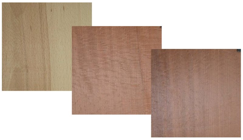 Rotkernige Buche vor und nach Behandlung