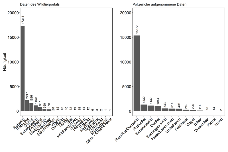 Abb. 3: Wildunfalldaten des Wildtierportals (links) und der Polizei (rechts) als mittlere Anzahl an Wildunfällen pro Tierart pro Jahr. Die Wildtierarten Reh, Rot- und Damwild werden bei der polizeilichen Dokumentation zusammengefasst.