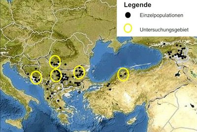 Map of Southeastern Europe and Turkey