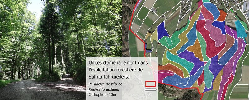 unités d’aménagement dans l’exploitation Suhrental-Ruedertal