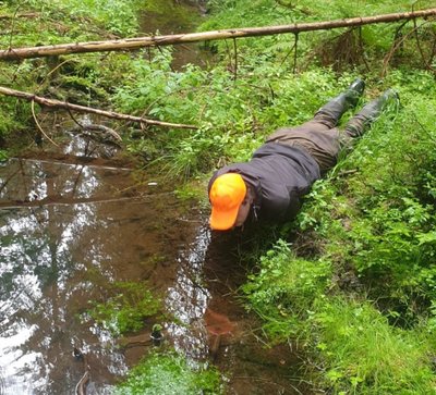 A man looks for snails in a stream