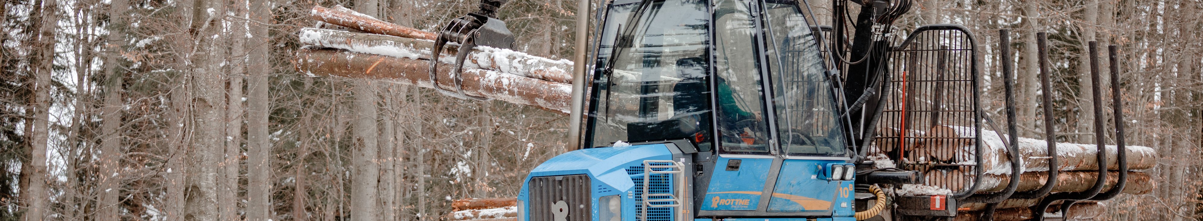 Blaue Forstmaschine mit Kran legt Baumstämme auf einen Holzstapel