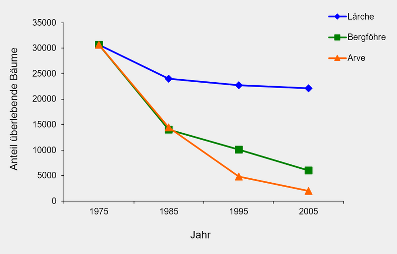 Entwicklung der Überlebensraten