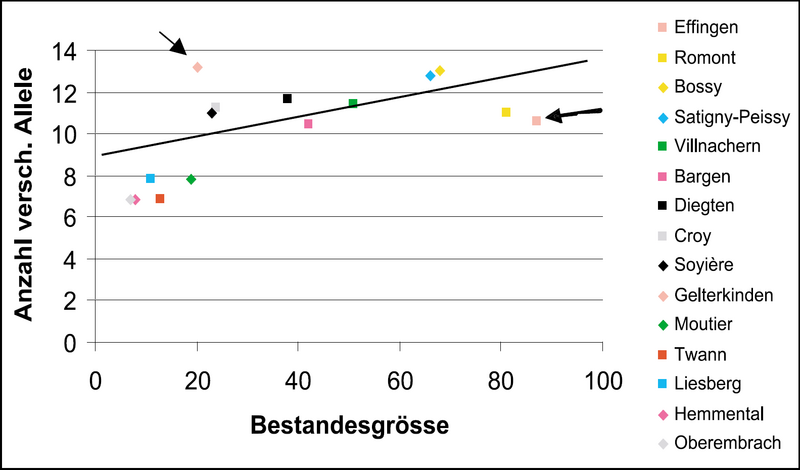 Anzahl Allele und Bestandesgrösse