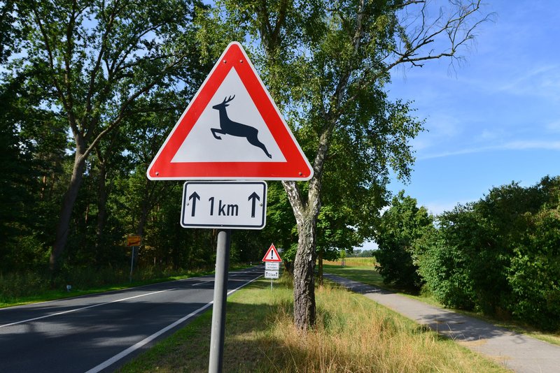 Verkehrszeichen "Achtung Wildwechsel"