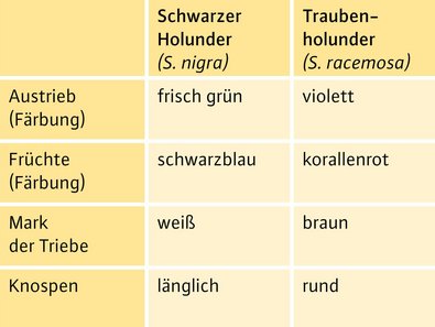 Tabelle