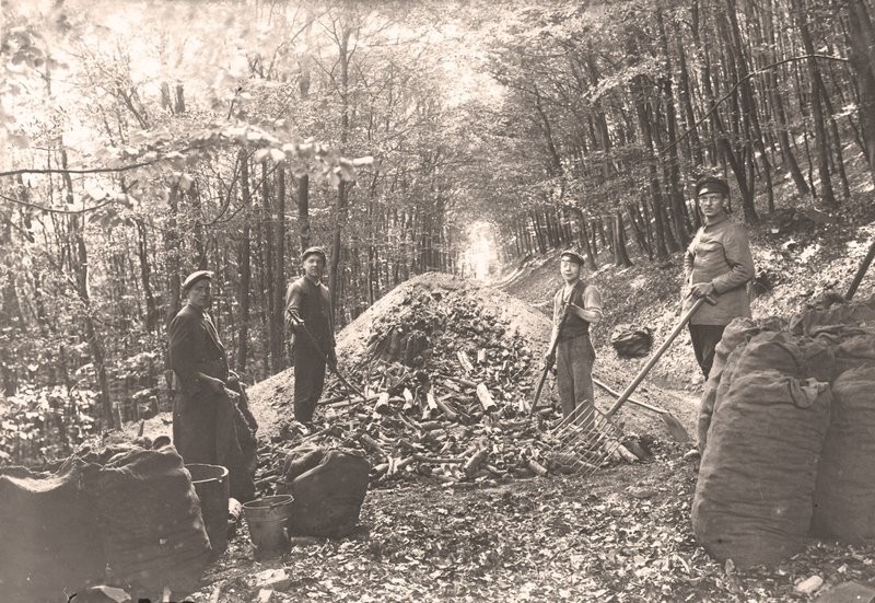 Kohlenmeiler mit Arbeitern im Wald