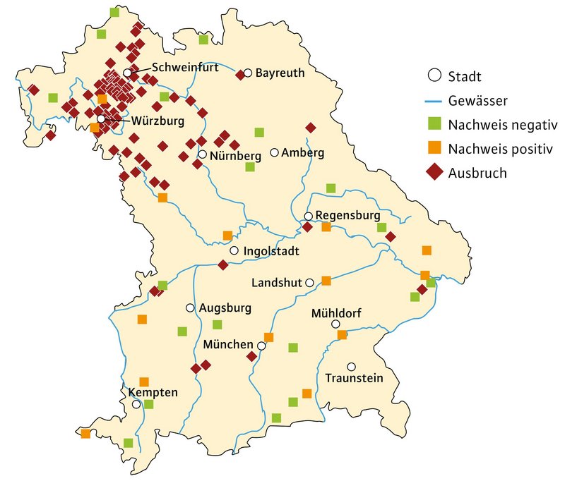 Bayernkarte - die Ausbrüche der Rußrindenkrankheit konzentrieren sich in Unterfranken