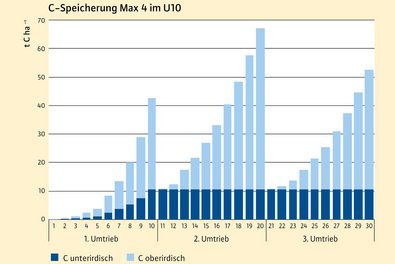 Grafik mit 3 Erntezyklen, die ansteigen und bei Ernte abfallen