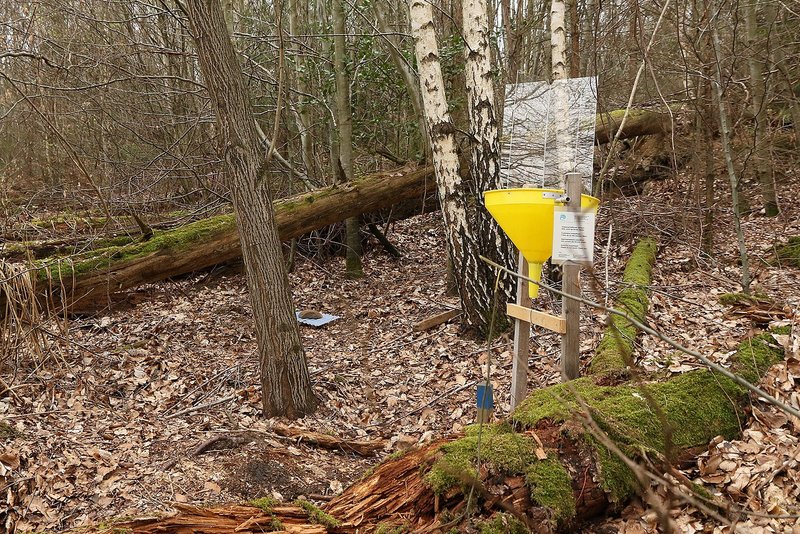 Trap set in the forest