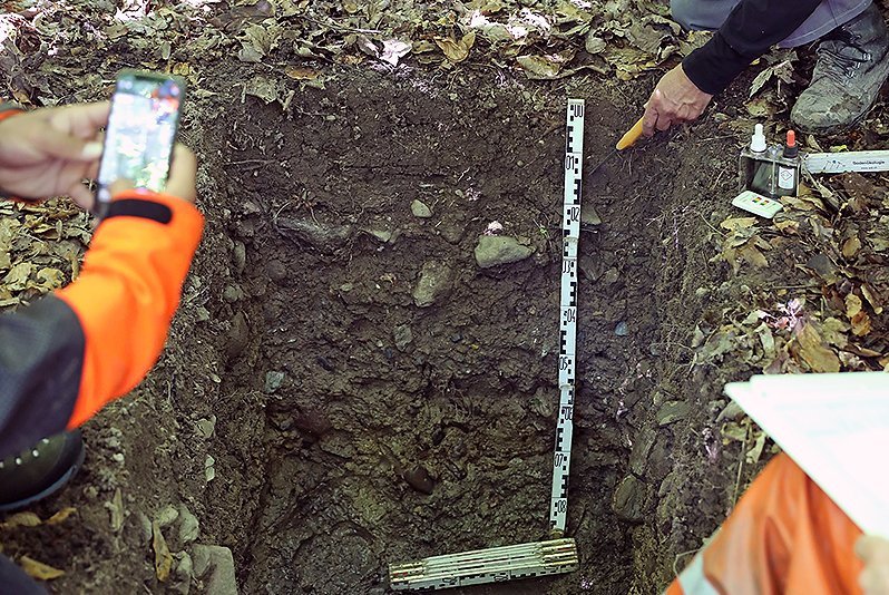 forstliche Ausbildung, wie Waldböden entstehen