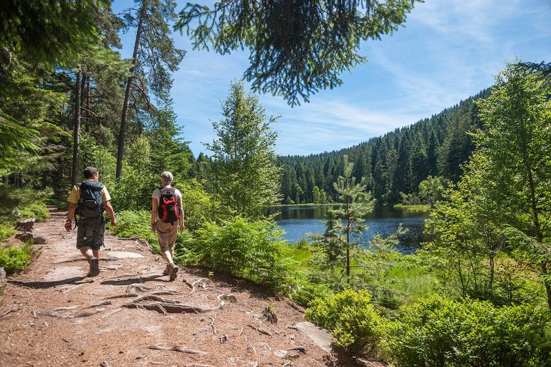 Wanderer am Herrenwieser See im Schwarzwald (Foto: Jürgen Wackenhut – stock.adobe.com)