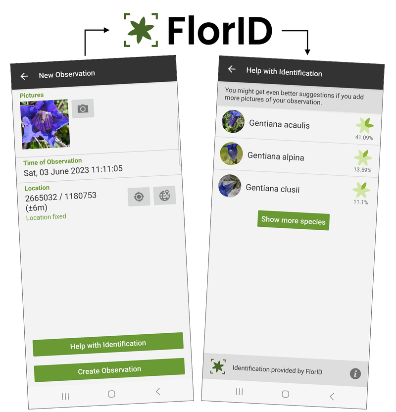 identify plants more precisely with FlorApp