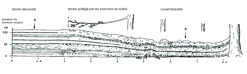 Structure du manteau neigeux Structure du manteau neigeux