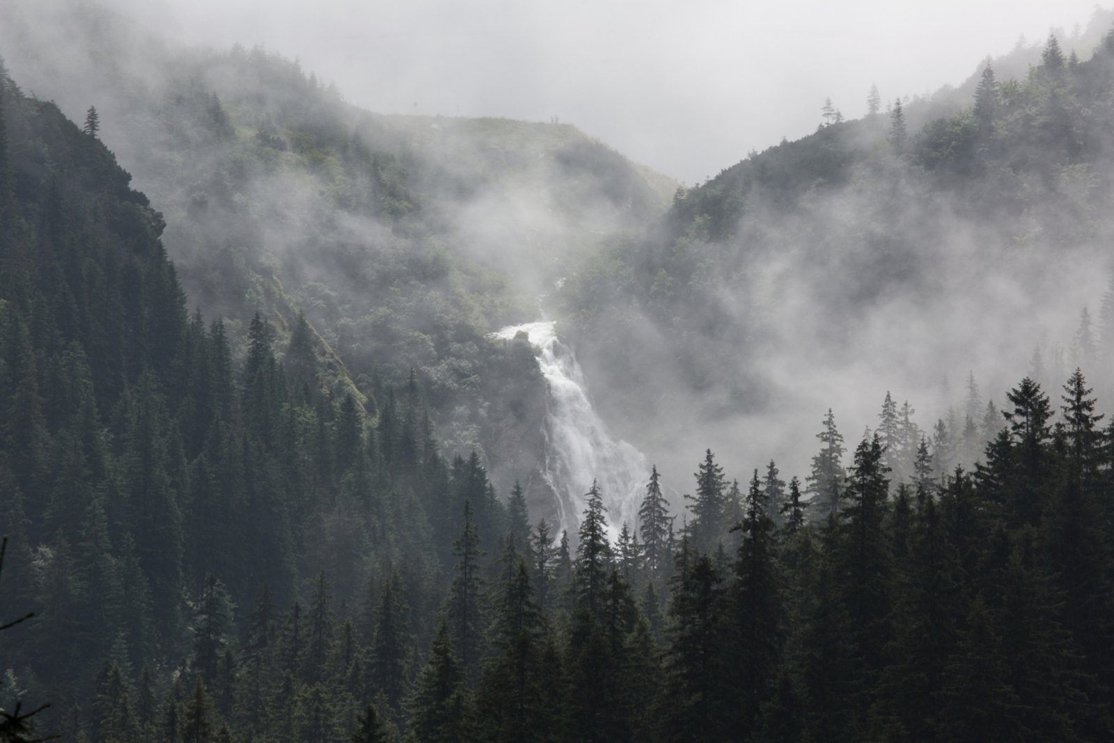 SUPERB: New Green Deal Project Aims To Improve Forest Restoration And ...