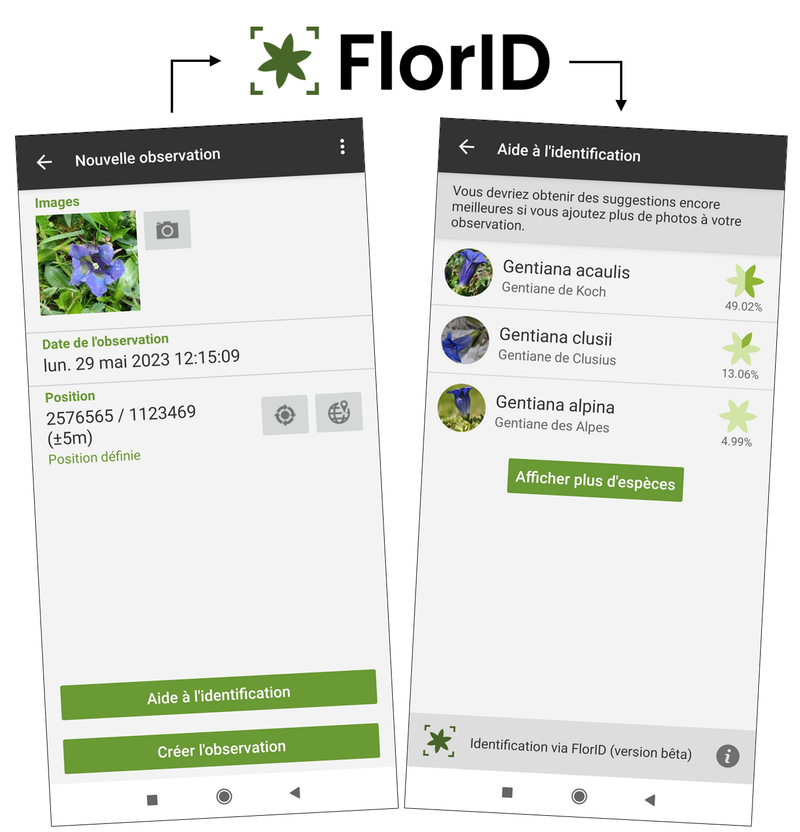 Identifier les plantes avec FlorApp