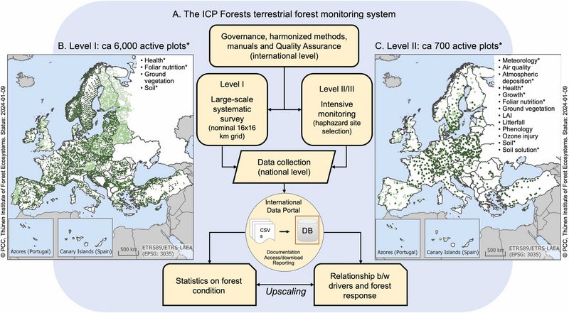 pan-European monitoring system ICP Forests