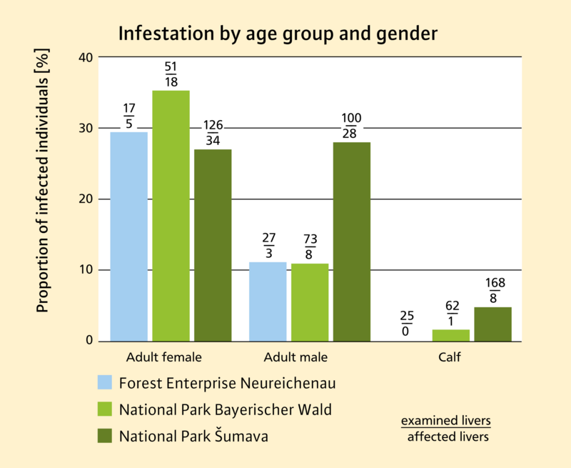 graphic