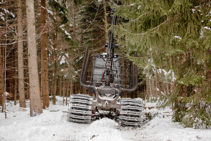 Forstmaschine mit Bodenschutzketten im Wald